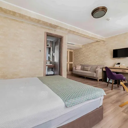 酒店 Castle Franco 2*