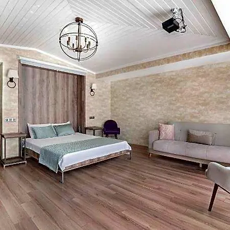 Castle Franco מלון 3*